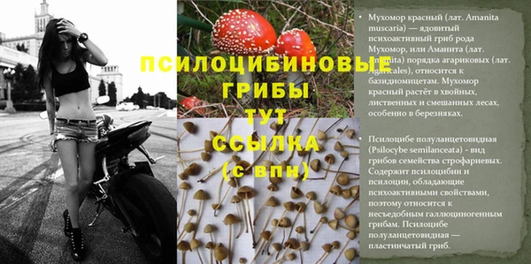 mix Пролетарск