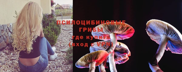 дурь Приозерск