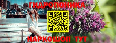 сатива Заводоуковск