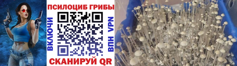 Галлюциногенные грибы мухоморы  Сорочинск 
