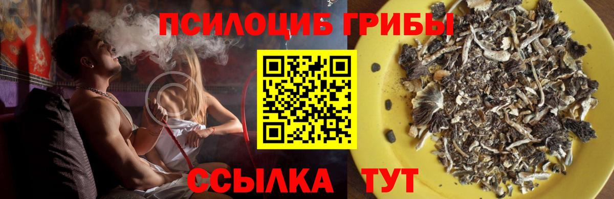 Псилоцибиновые грибы прущие грибы  Вход с VPN  Сорочинск 